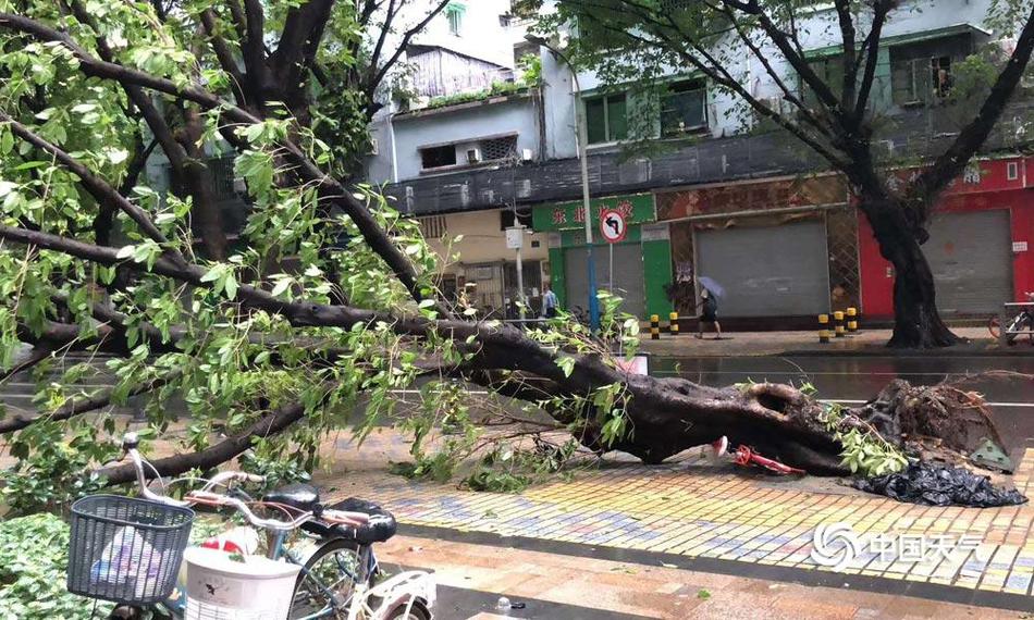 春节礼品市场再现黑马！谷豆恋组建营养粥产品矩阵，全面爆发！