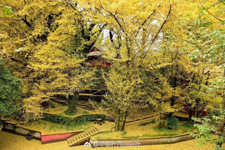 广州闹市一乳腺癌患者“为公益求摸胸” 感动无数路人【公益慈善】风尚中国网