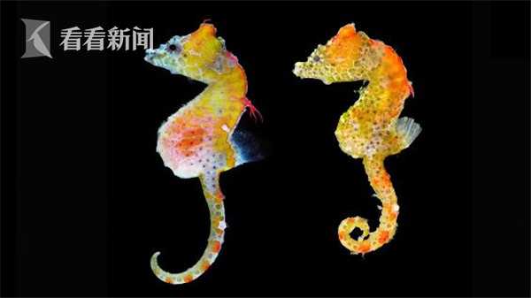 《红马甲》开幕第三届全国话剧展演季