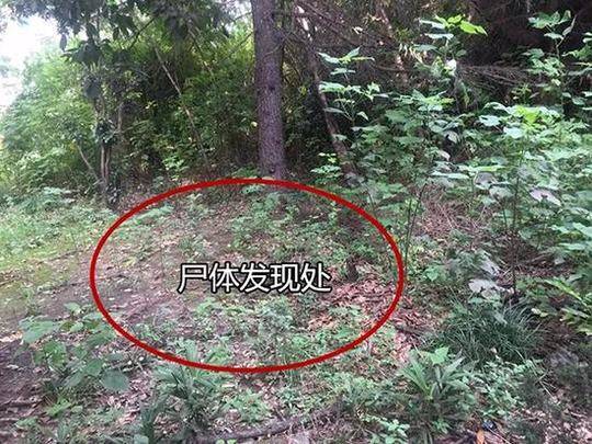 黄山市9所校园当选全国青少年校园篮球、排球特色校园