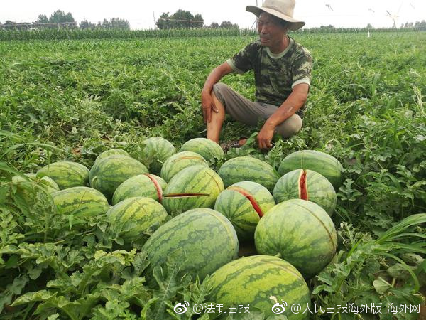星空网站入口官网手机版安卓版