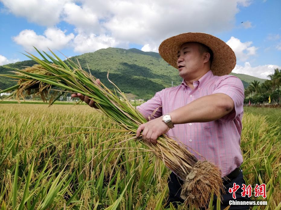 广德县铂龙湖生态旅游颐养园项目举行奠基仪式