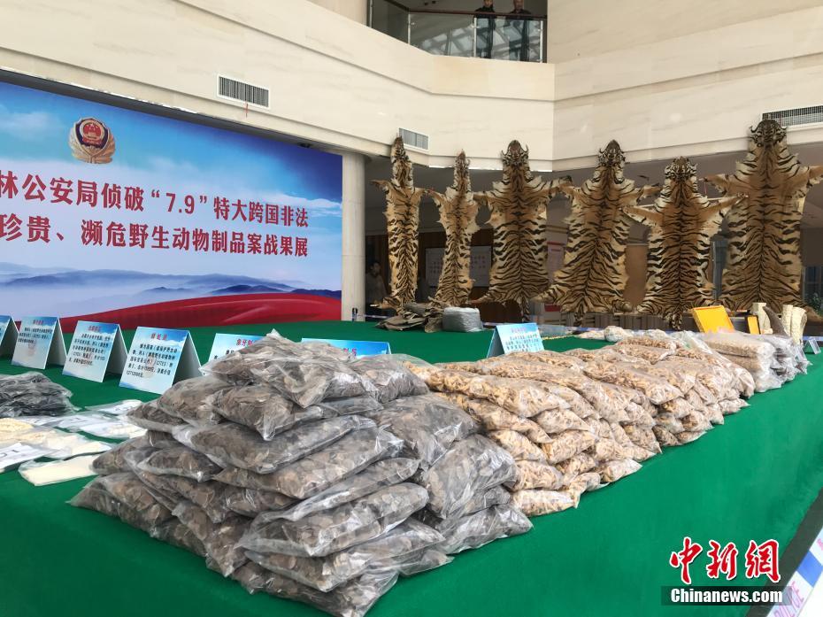 交警言传身教解说交通安全知识