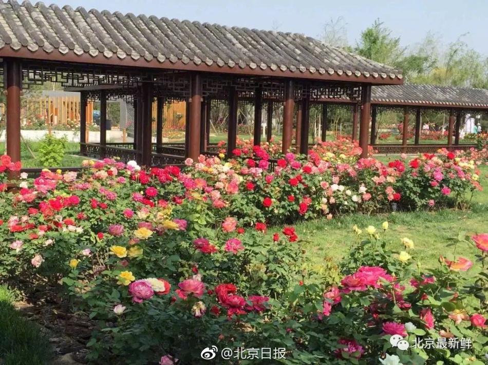 戴上口罩就与时尚绝缘？穿搭博主的秘密你值得拥有【数码&手机】风尚中国网