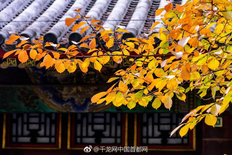 淮北“千年古集·焰火蒙村”庙会人气旺
