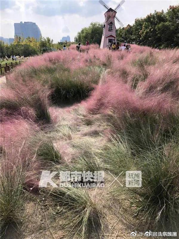 十六年火爆，六重豪华礼！中星食品续约火爆网，赋能实体新增长！