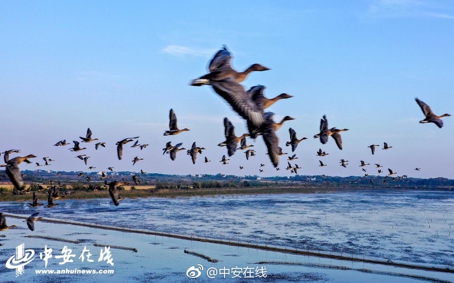 福鼎：以文塑旅、以旅彰文 传统村落起新“潮”