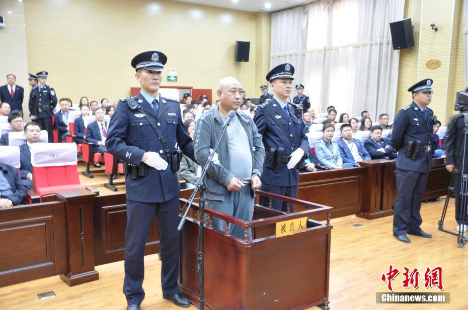 湿地修正成效显 生态美景入画来