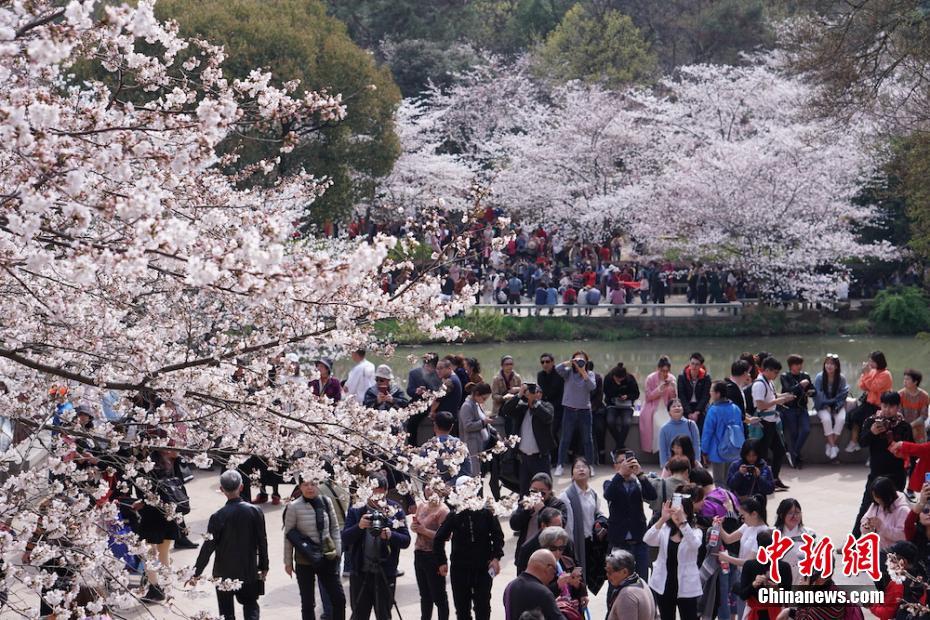 果汁汽水、白花蛇草水…可乐犇犇双爆品出击春节市场！