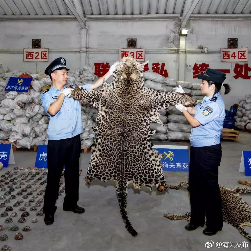 利辛发动食品安全宣传周活动