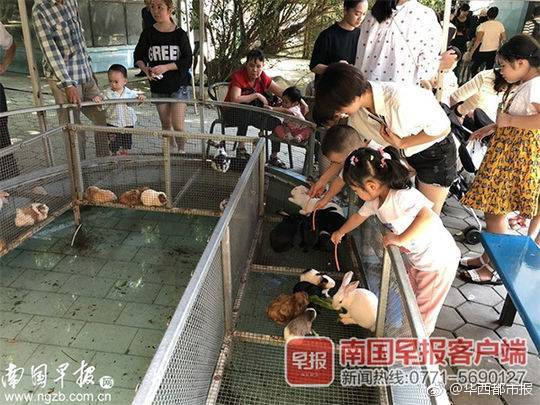 “绚丽70年·醉美塘西河”全民拍摄大赛发动
