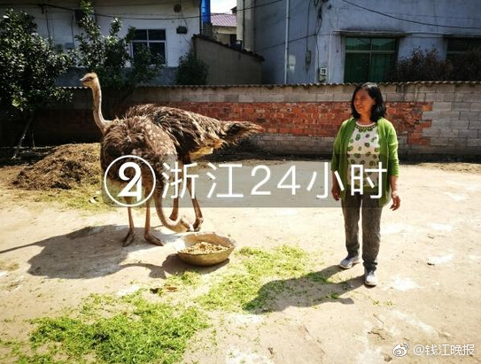 安徽人文讲坛在省图书馆带你“诗话合肥”