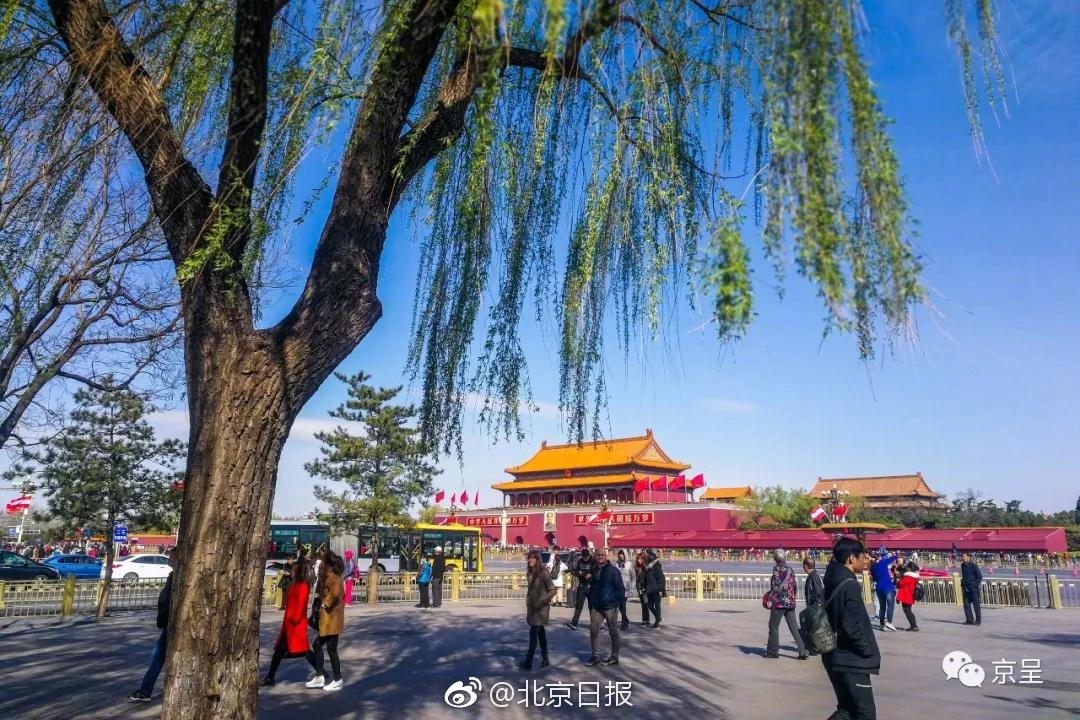 豆想你鸭掌，独特工艺，香气四溢！品牌与口碑并重的爆品！