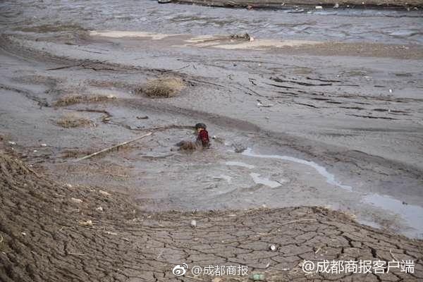 精品微短剧《回报小福宝》在黄山开机