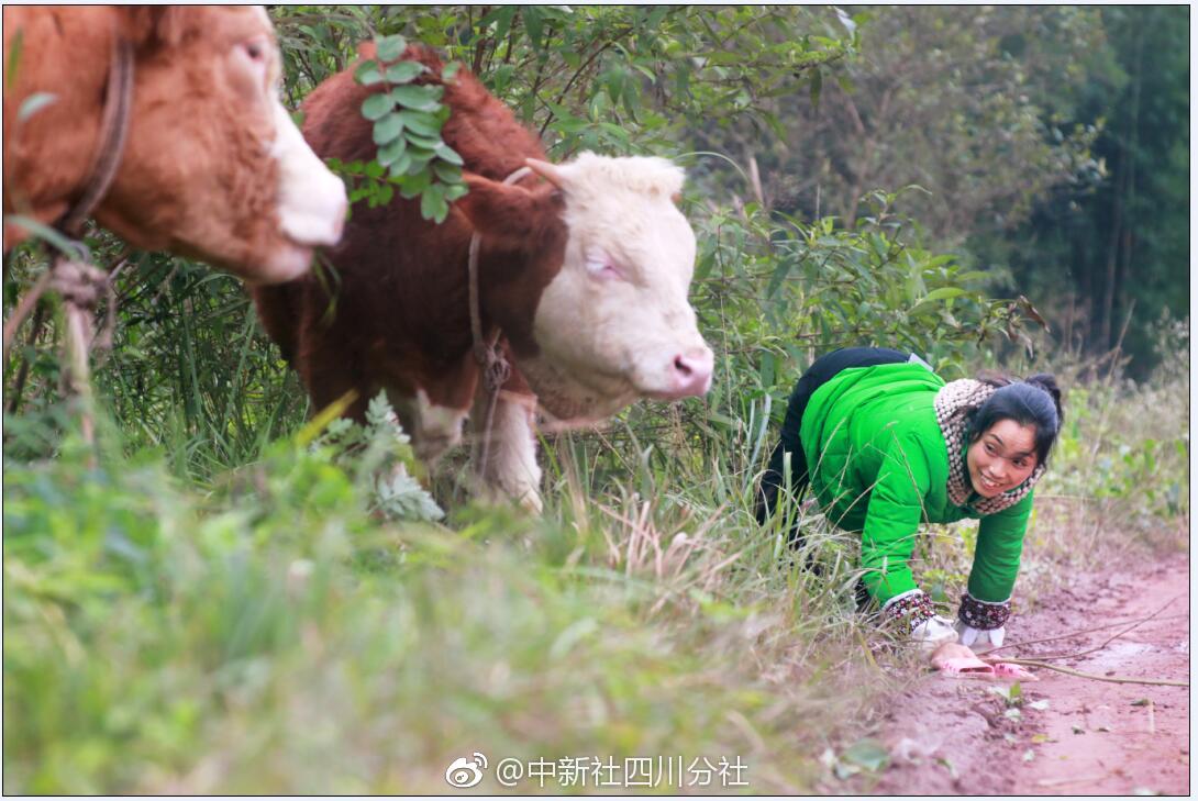 果汁市场混战，沃尔旺脱颖而出，成为终端真顶流！