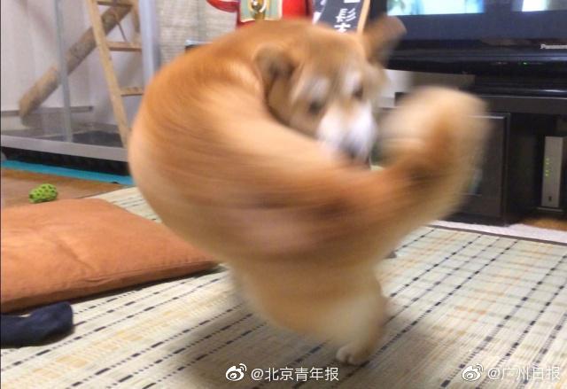 温情七夕节 定格金婚白叟的浪漫瞬间