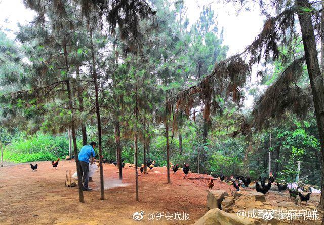 让博物馆“走出去”  让常识“活起来”