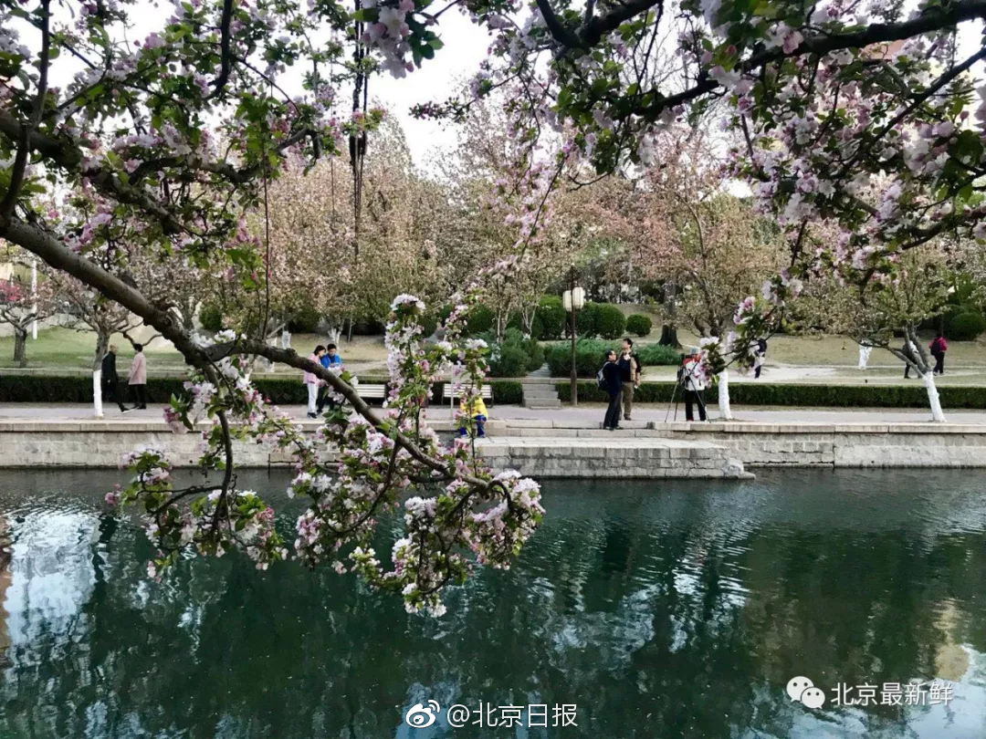 行競科技發表 1MWh 浸沒式儲能櫃，15 秒可以降溫千度