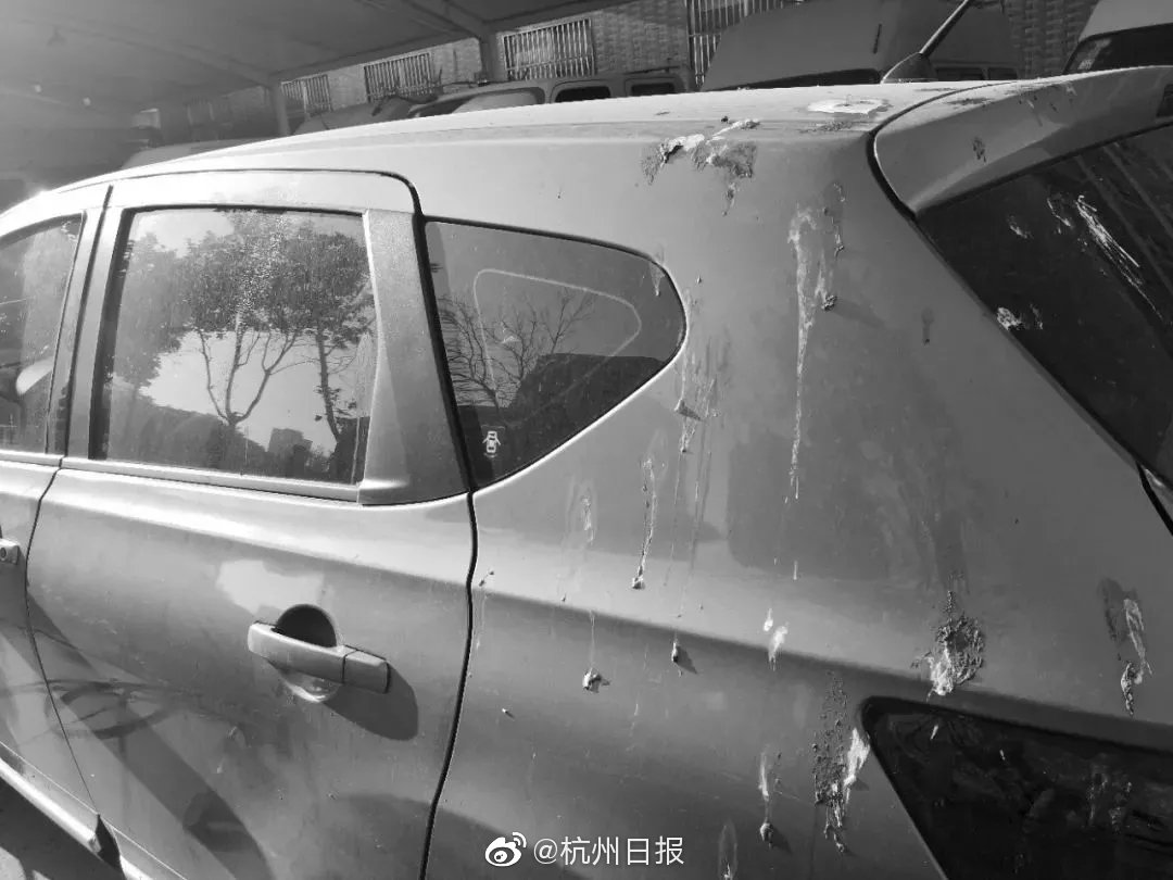 我省两项目当选全国十大考古新发现初评