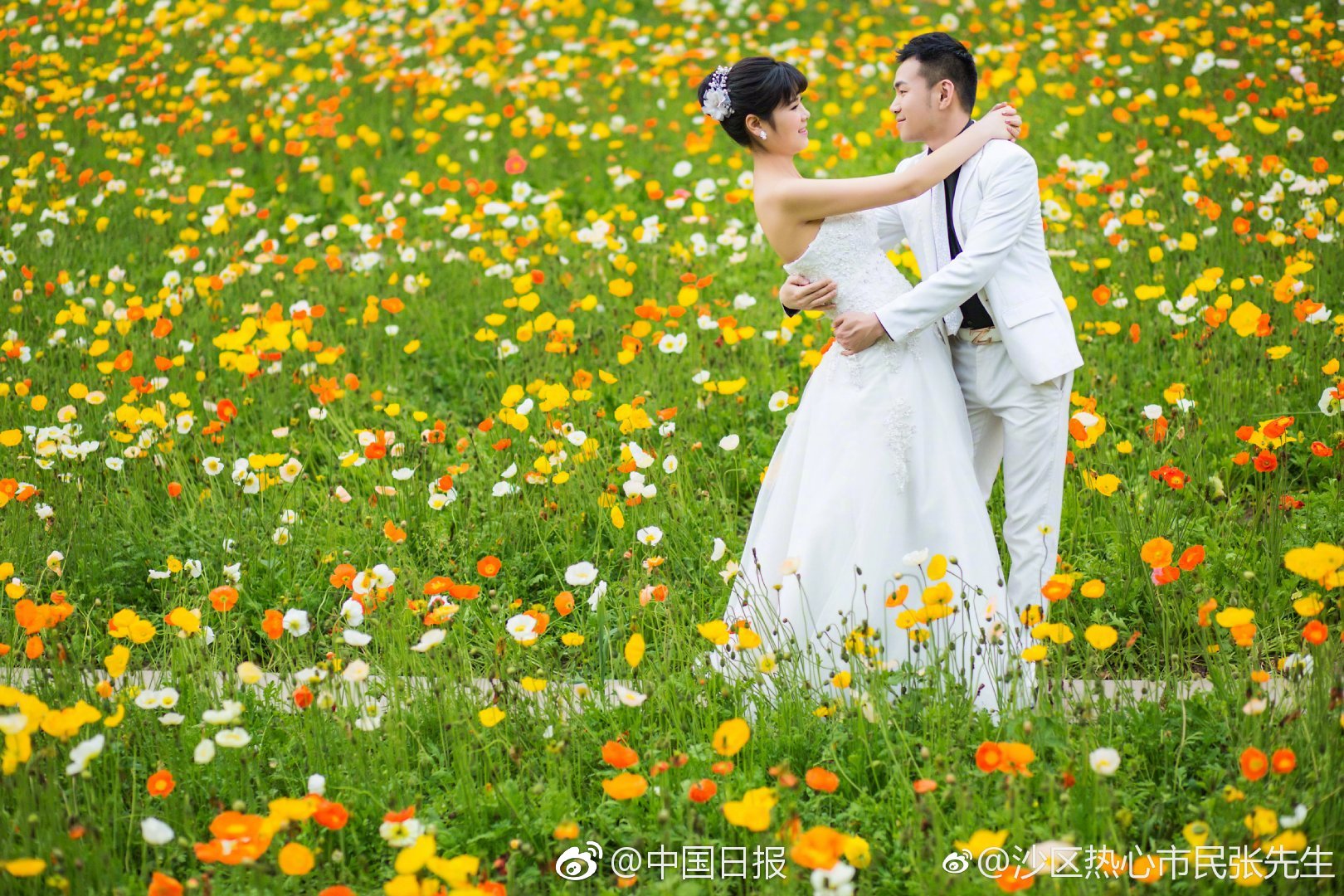 问鼎pg官方入口豪华版
