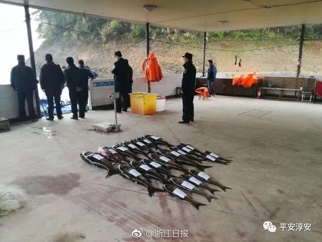 糖玩市场潜力大，妙趣糖玩带您征战儿童经济市场！