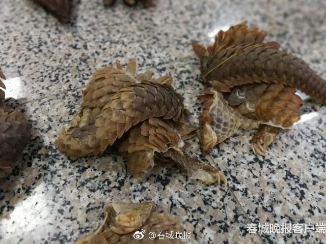 京多安：为曼城效力是一种责任赛季还早我们要努力回到正轨
