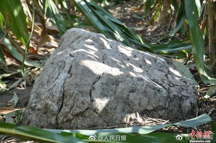 “润思杯发现最美池州”活动敞开