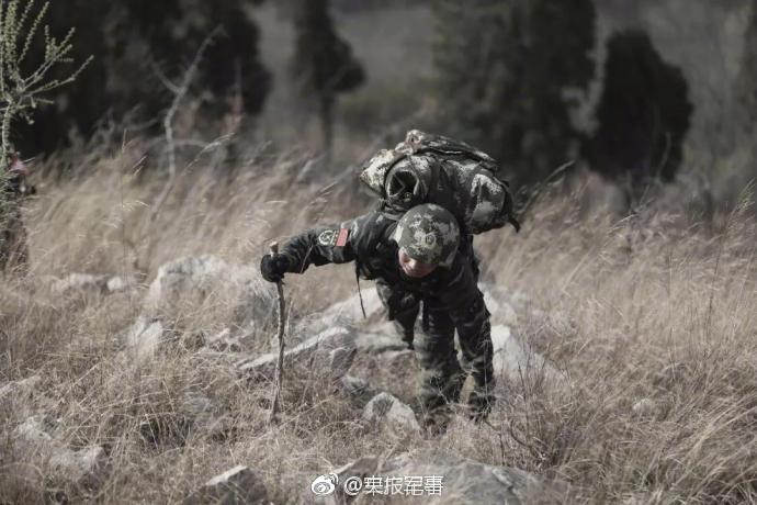 书记上门来带货 扶贫葡萄不愁卖