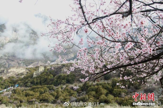 市场前沿，趣乐无限！糖尚玩糖玩抢挖儿童市场经济！