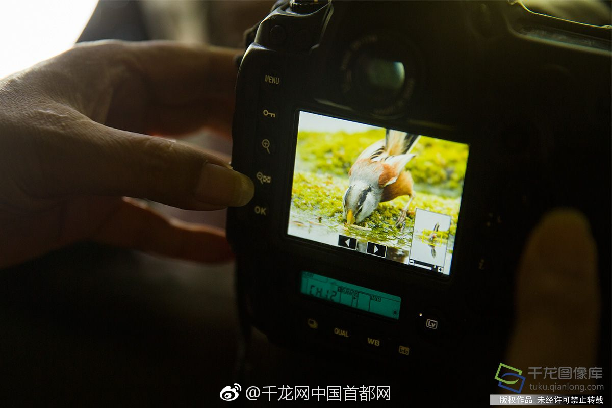 2019第七届我国（安徽）旅行品牌节将举办