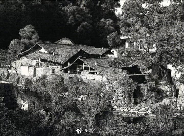 “奔县游”：三千年古城的味蕾与文脉之旅