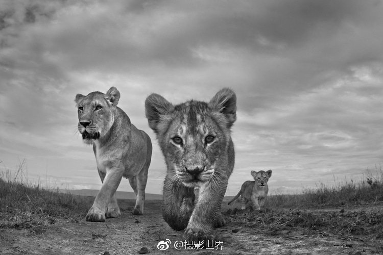 安徽人文讲坛在省图书馆带你“诗话合肥”