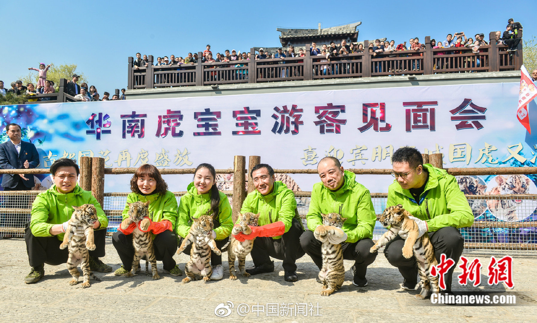 张晓辉：追寻“银王”足迹 传承银矿文化