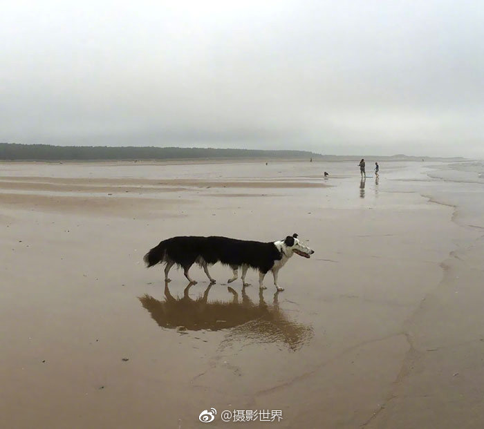 壹号娱乐豪华版