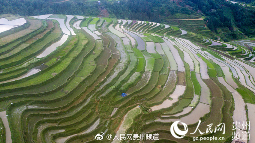 热动商场，加码健康,绿岭核桃乳燃爆终端商场