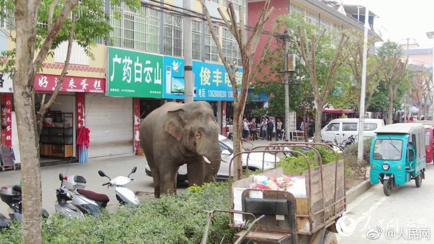 村歌《群心追梦》排练进行时