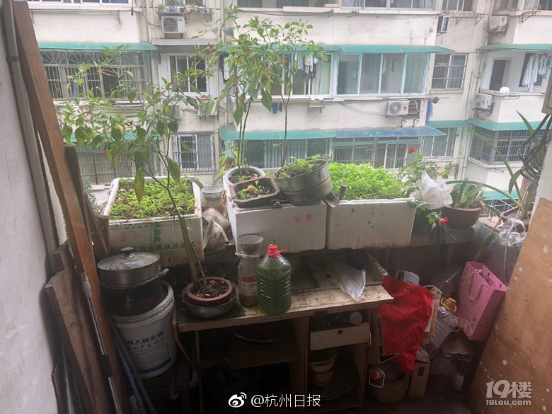 新品上市·高山花茶