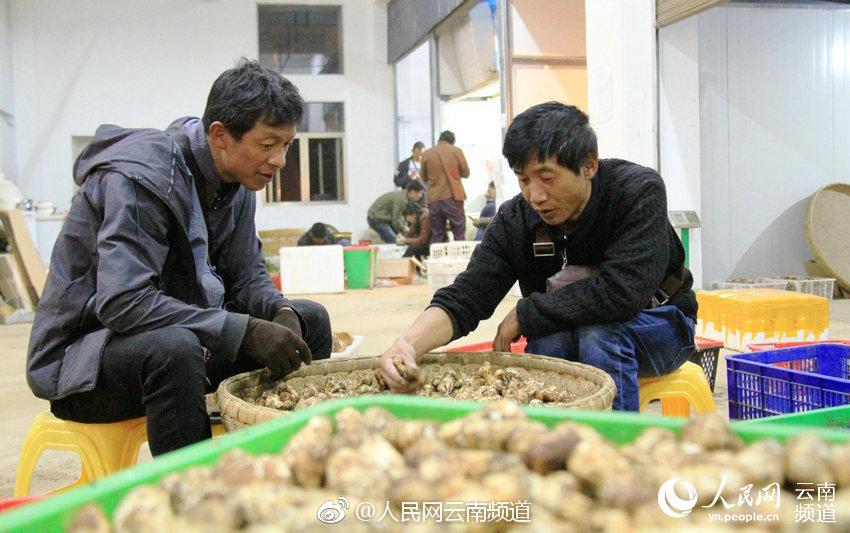《老支书》排演研讨会举办
