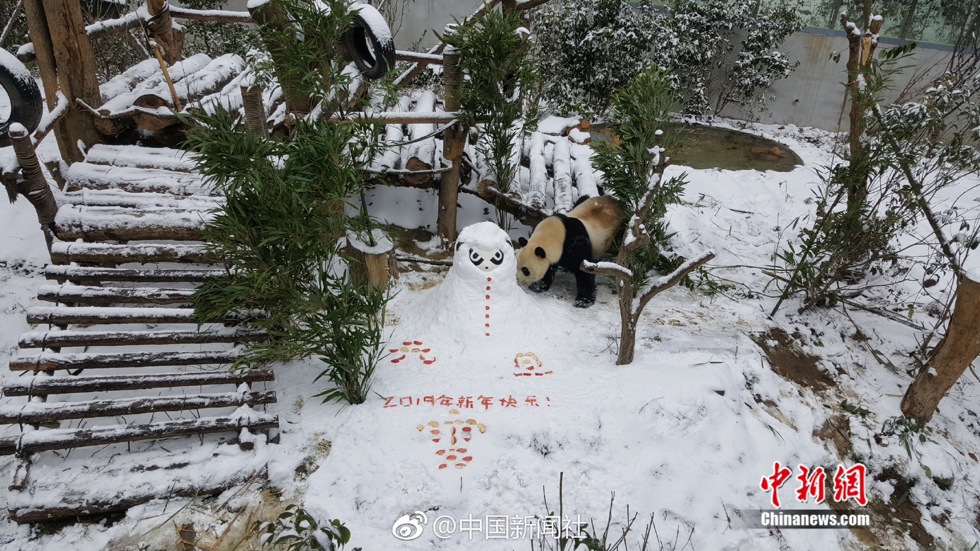 动康拎桶果汁露脸成都春糖，掀起果汁新风潮！