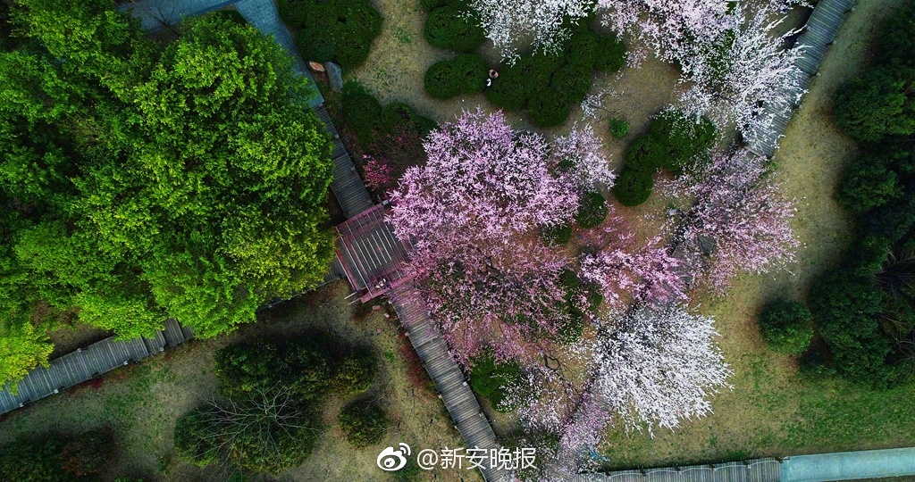 京智源芝士奶昔，新鲜丰盈，美味不可挡！更好喝，更好铺货！