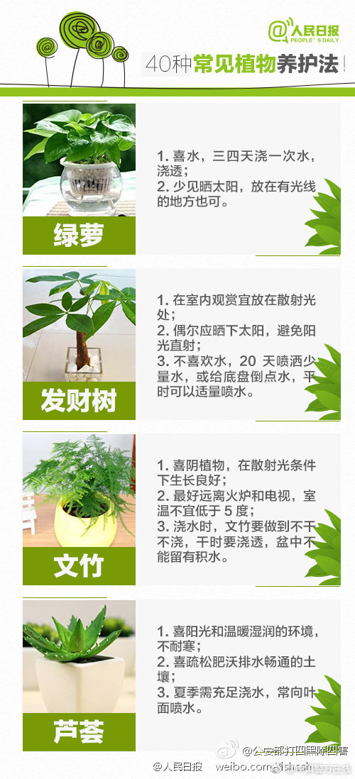 捐献图书宏扬皋陶文明