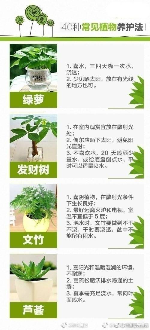 「好手氣」按鈕被取代？Google 正在測試 AI 模式新介面