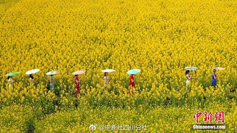 泰新鲜开年重磅新品，为何让经销商如此“上头”？