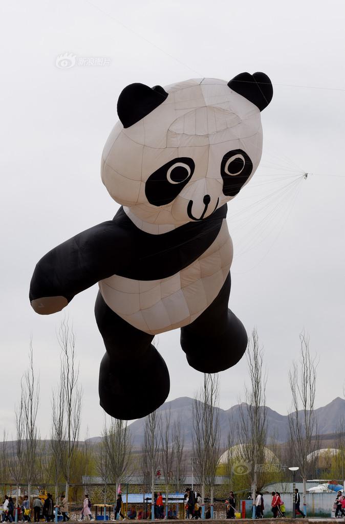 当一个斜杠青年他跨界到音乐
