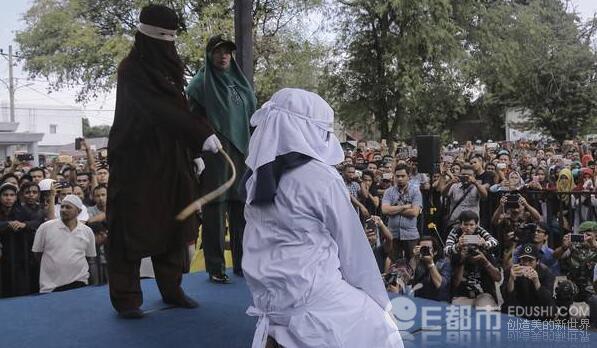 罐头可以喝，星典脆菠萝！会种还会卖，这款果汁真的很牛！