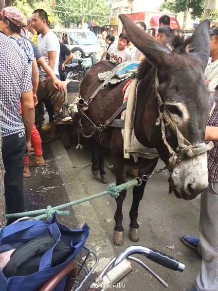 品质产品，等您代理！卢村长月饼全渠道覆盖！