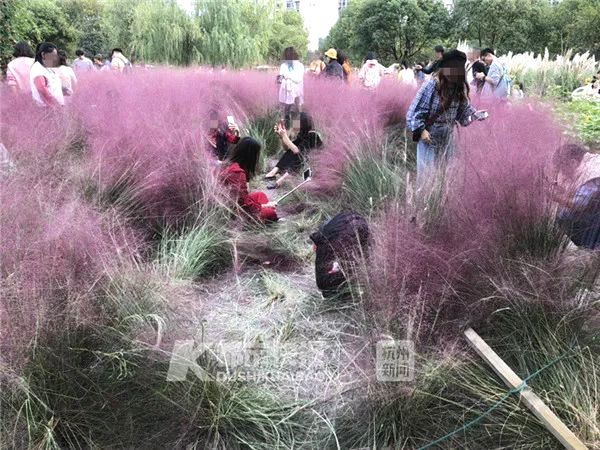 精品微短剧《回报小福宝》在黄山开机
