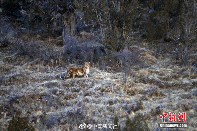 潜山聚集文化遗产同享非遗盛宴