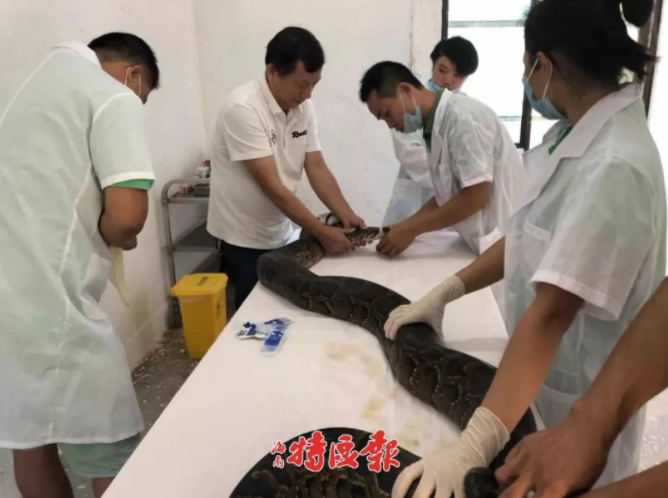 副市长变身“曹大姐” 直播带火亳州特产