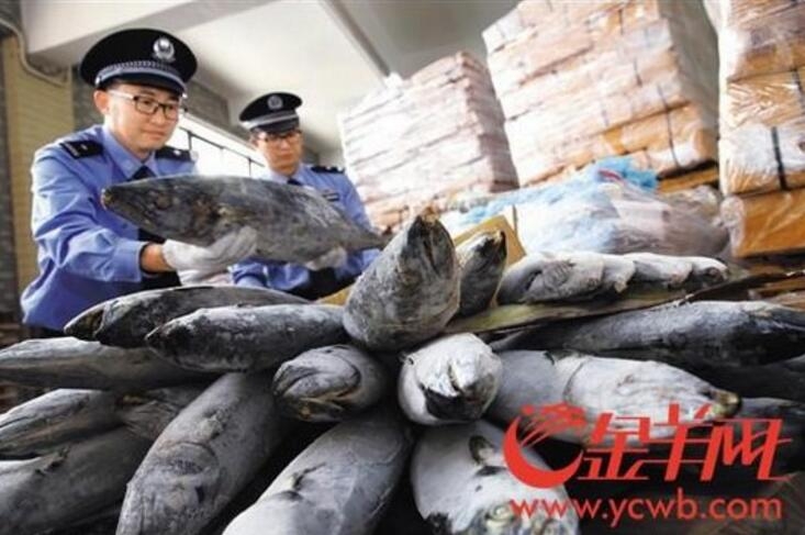 “芯屏器合”看合肥——全国拍摄名家主题创造活动发动